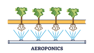 aeroponic pic